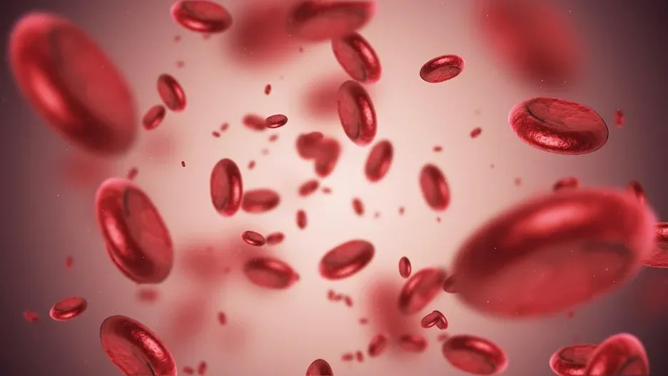 red blood cells