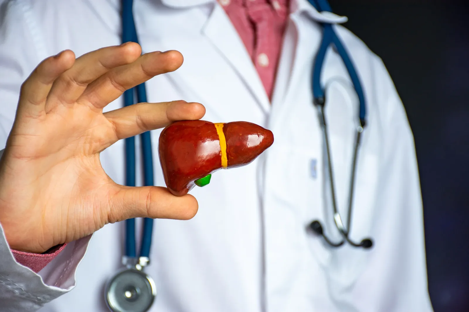 DAO Enzyme Liver