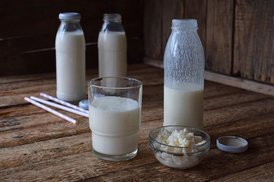 yoghurt drink for probiotics