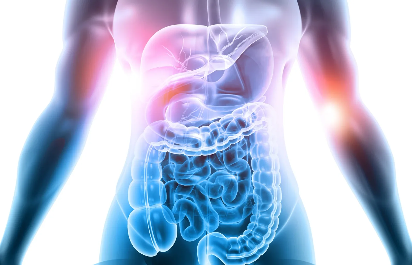 Diamine Oxidase Tumor: A Comprehensive Examination