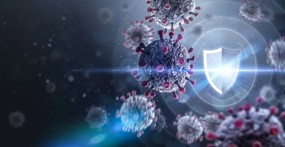 immunity response against foreign invaders