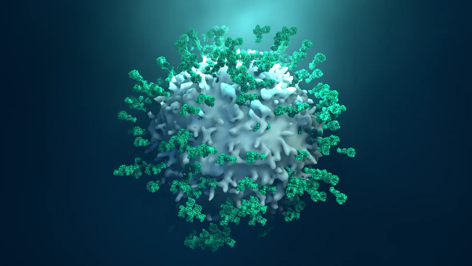 Natural Active Immunity