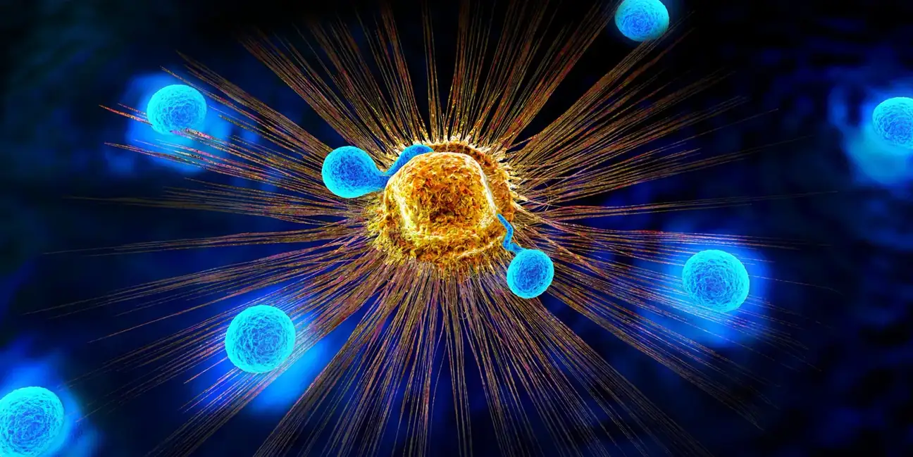 Natural Killer Cells Provide Immunity
