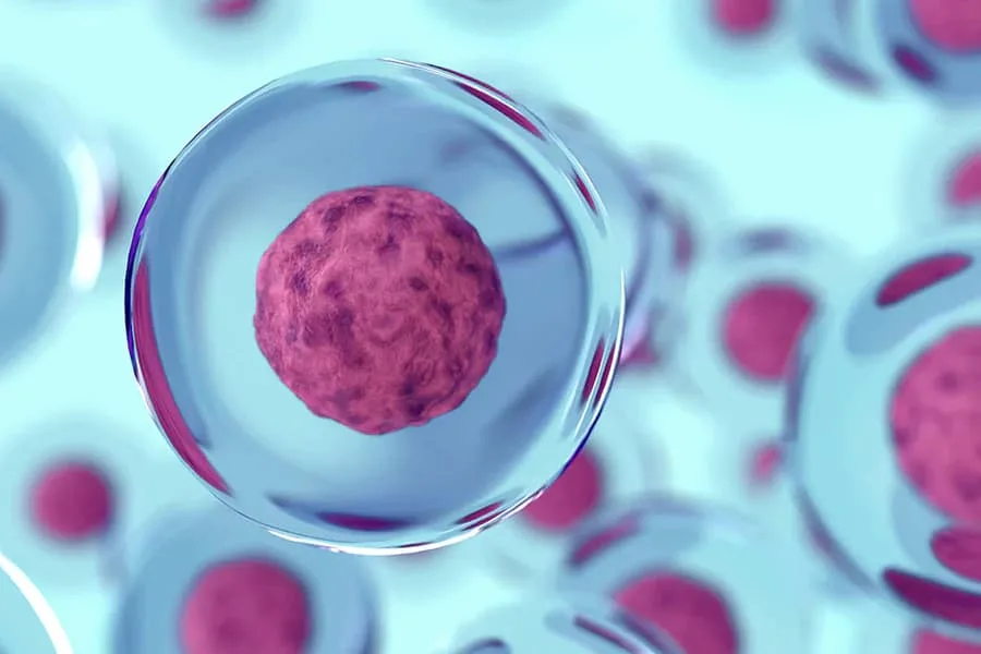 Stem cells: The Future of Medicine is happening now