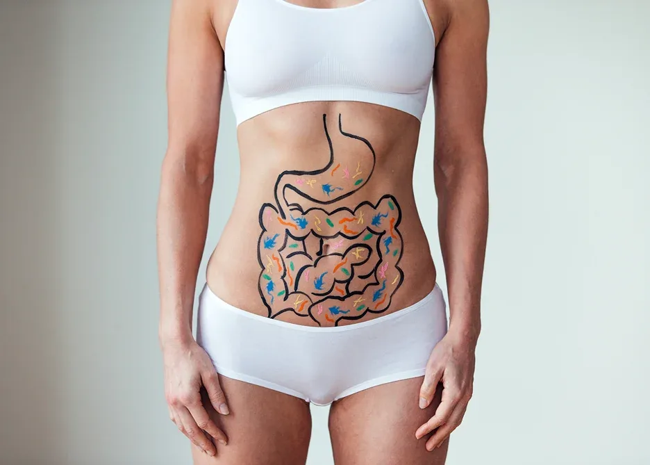 gut health