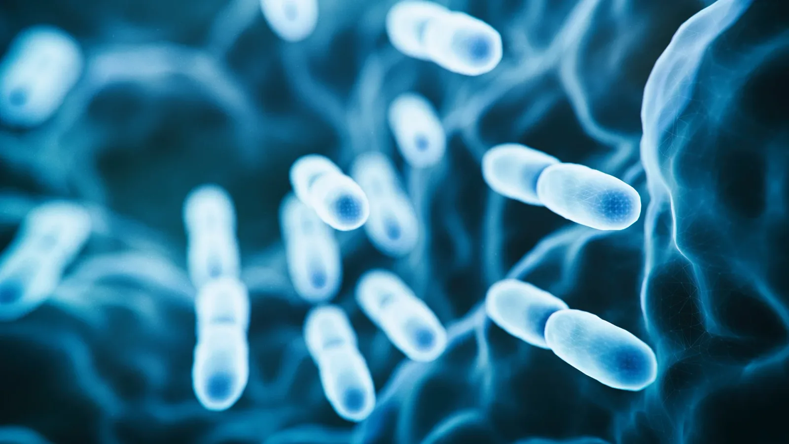 Probiotics for DAO Enzyme Enhancement: What You Need to Know