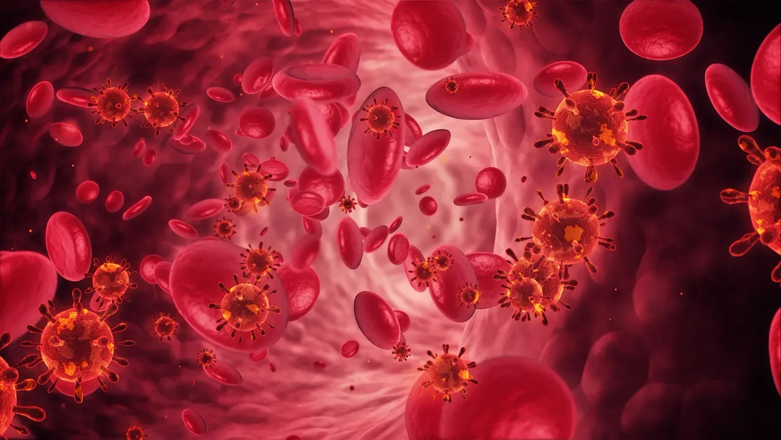 What is the Innate Immune System?