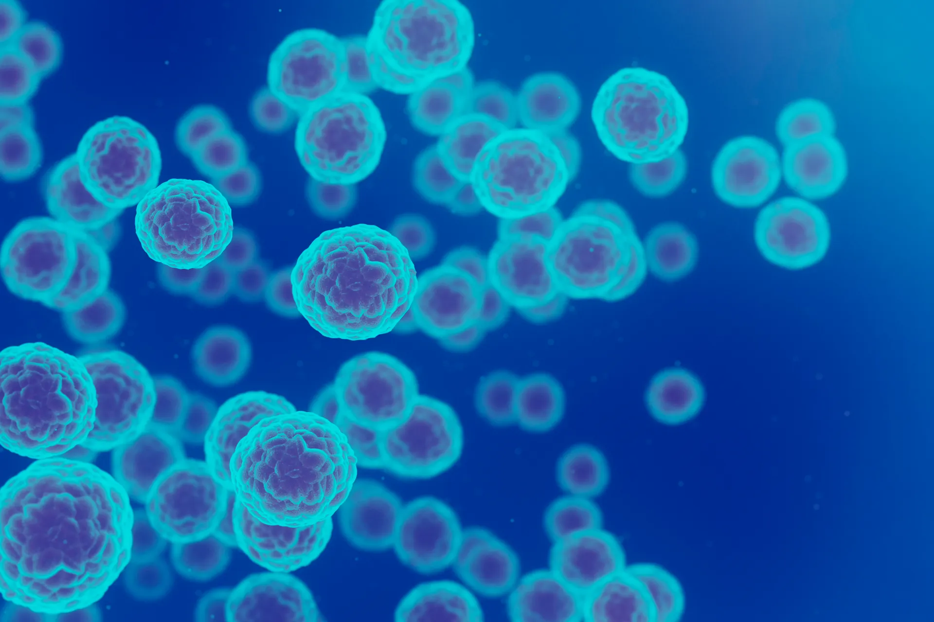 Illustration of round, textured cells floating against a blue background