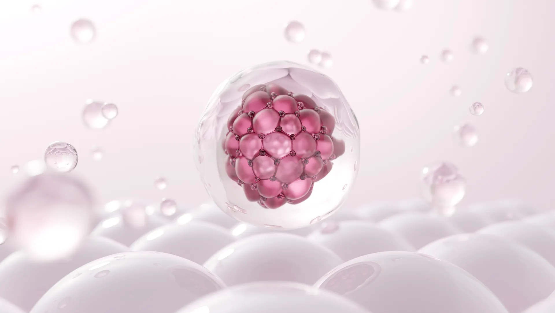3D illustration of a cluster of pink cells inside a clear sphere surrounded by bubbles