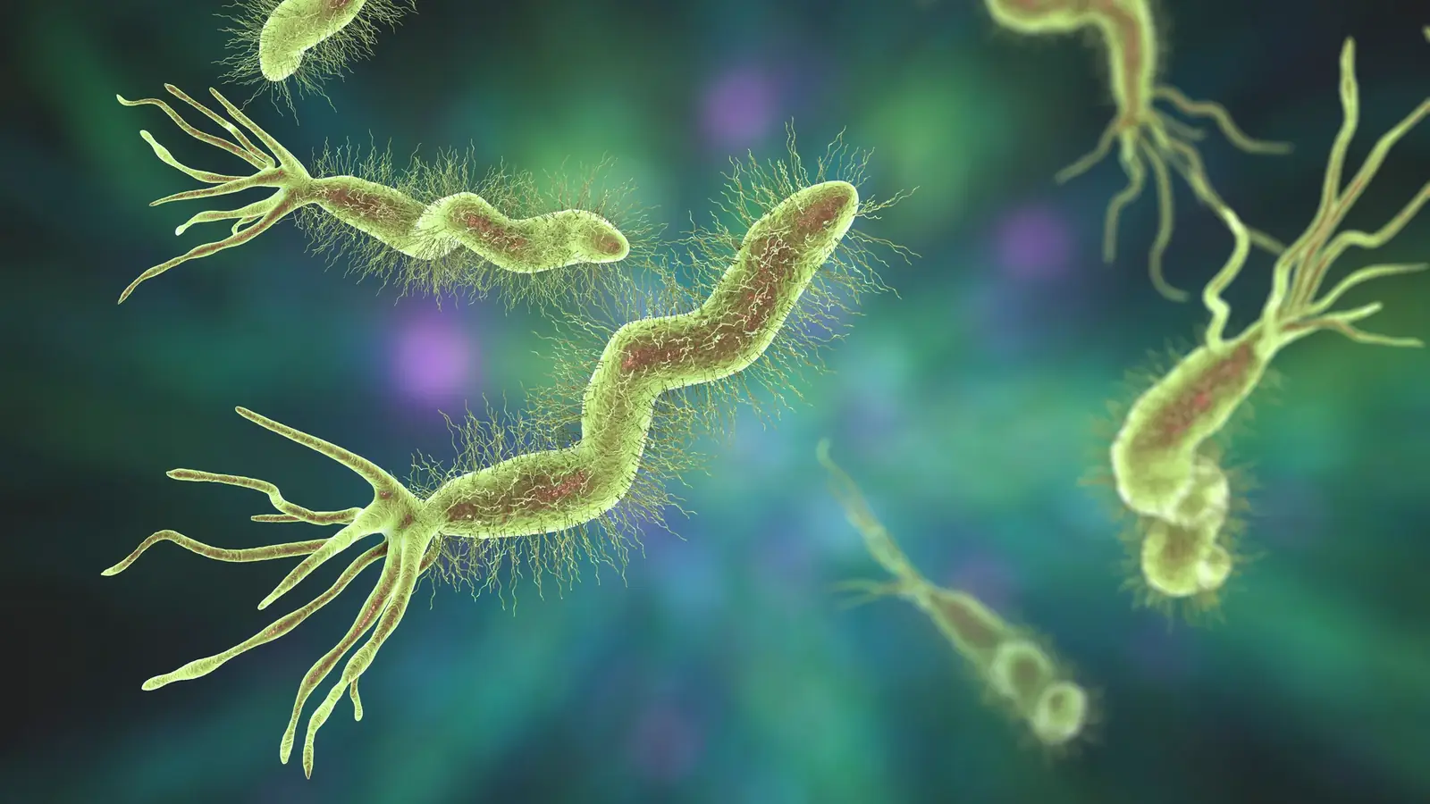 H. Pylori Testing